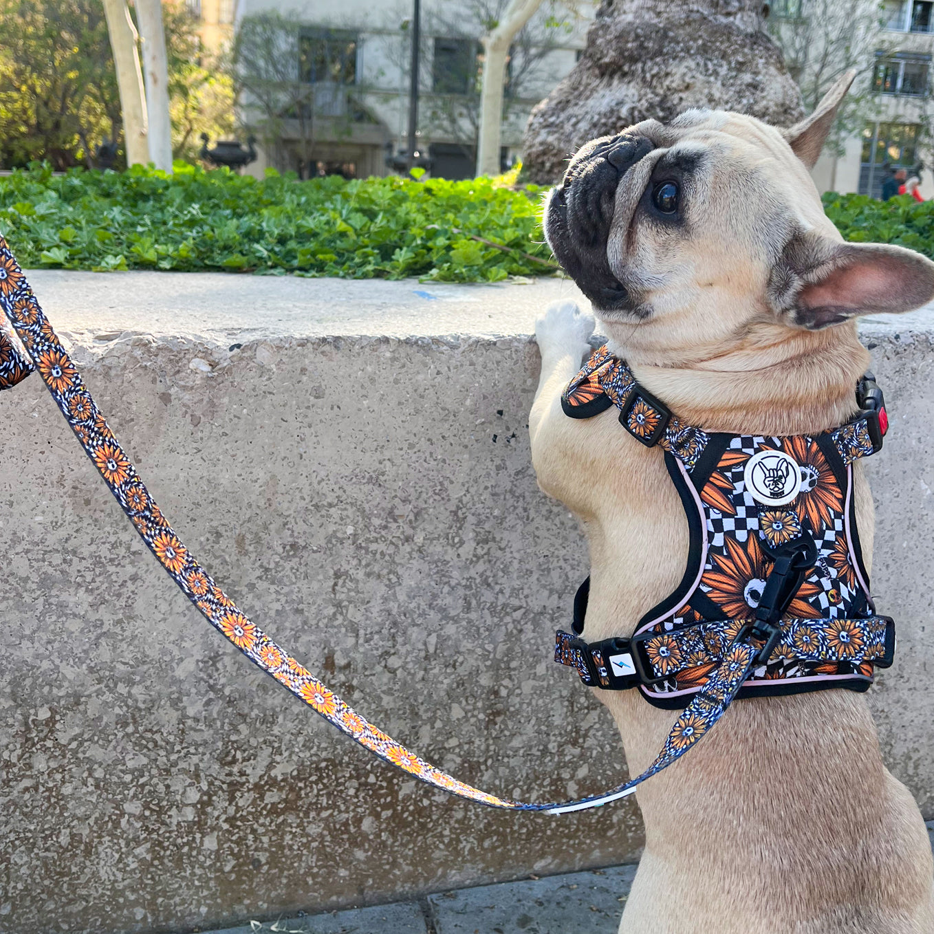 Pettorina per cani IronDog SkullFlower