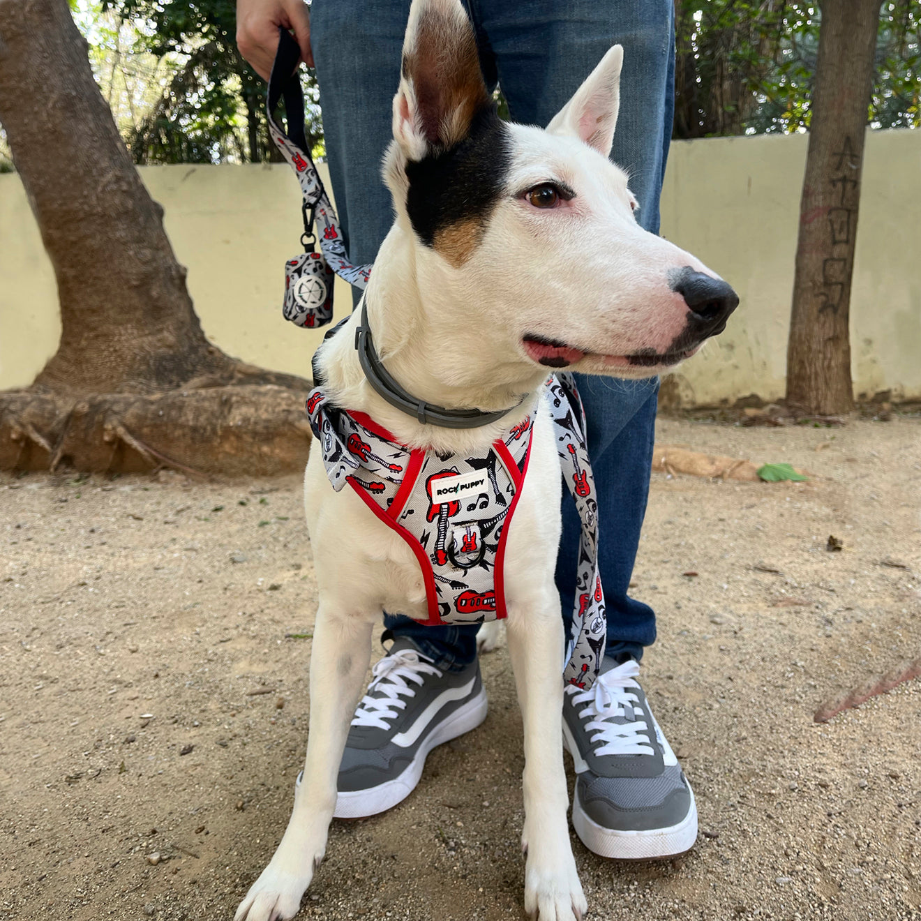 Arnés Para Perros IronDog Guitars