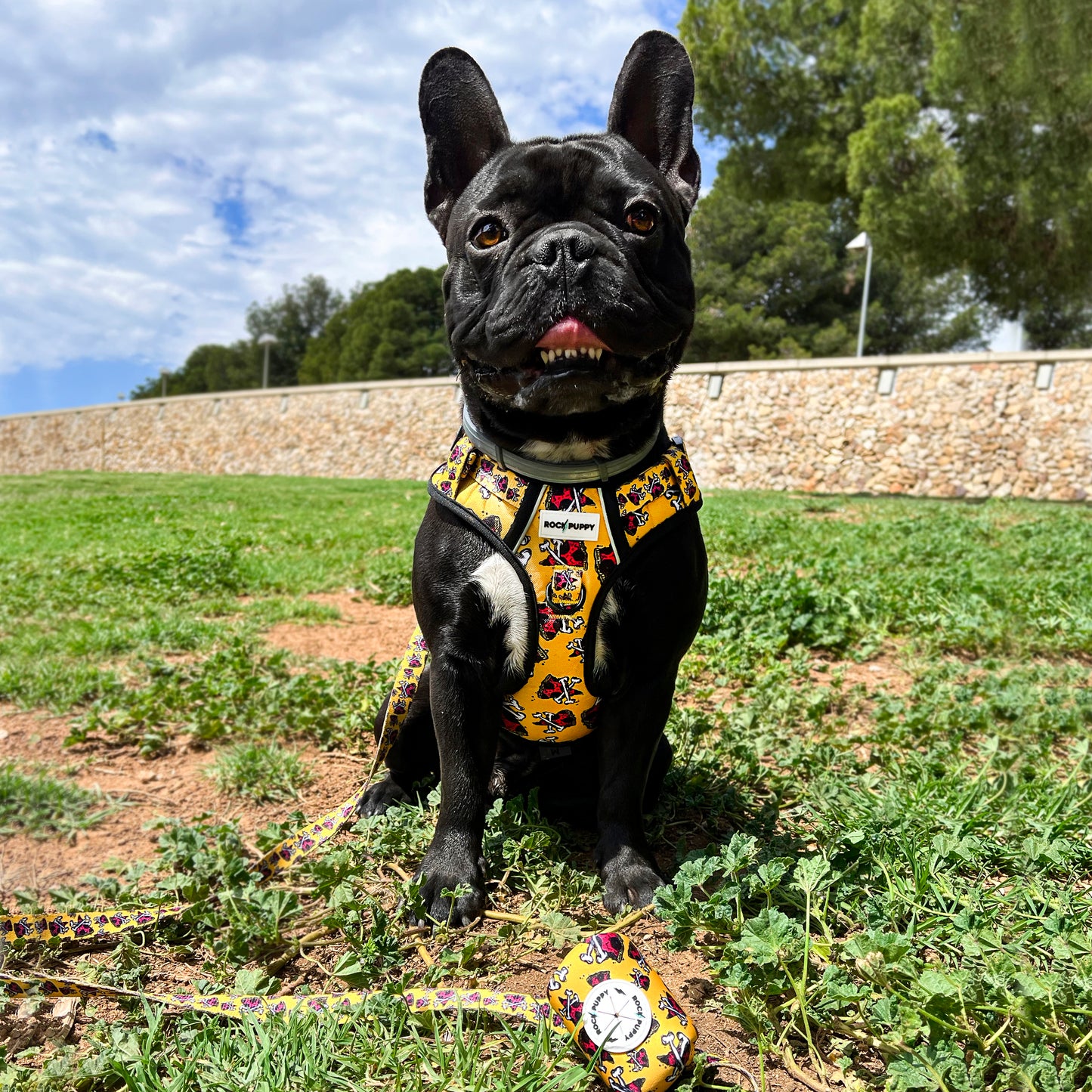 Pettorina per cani IronDog PizzaBones