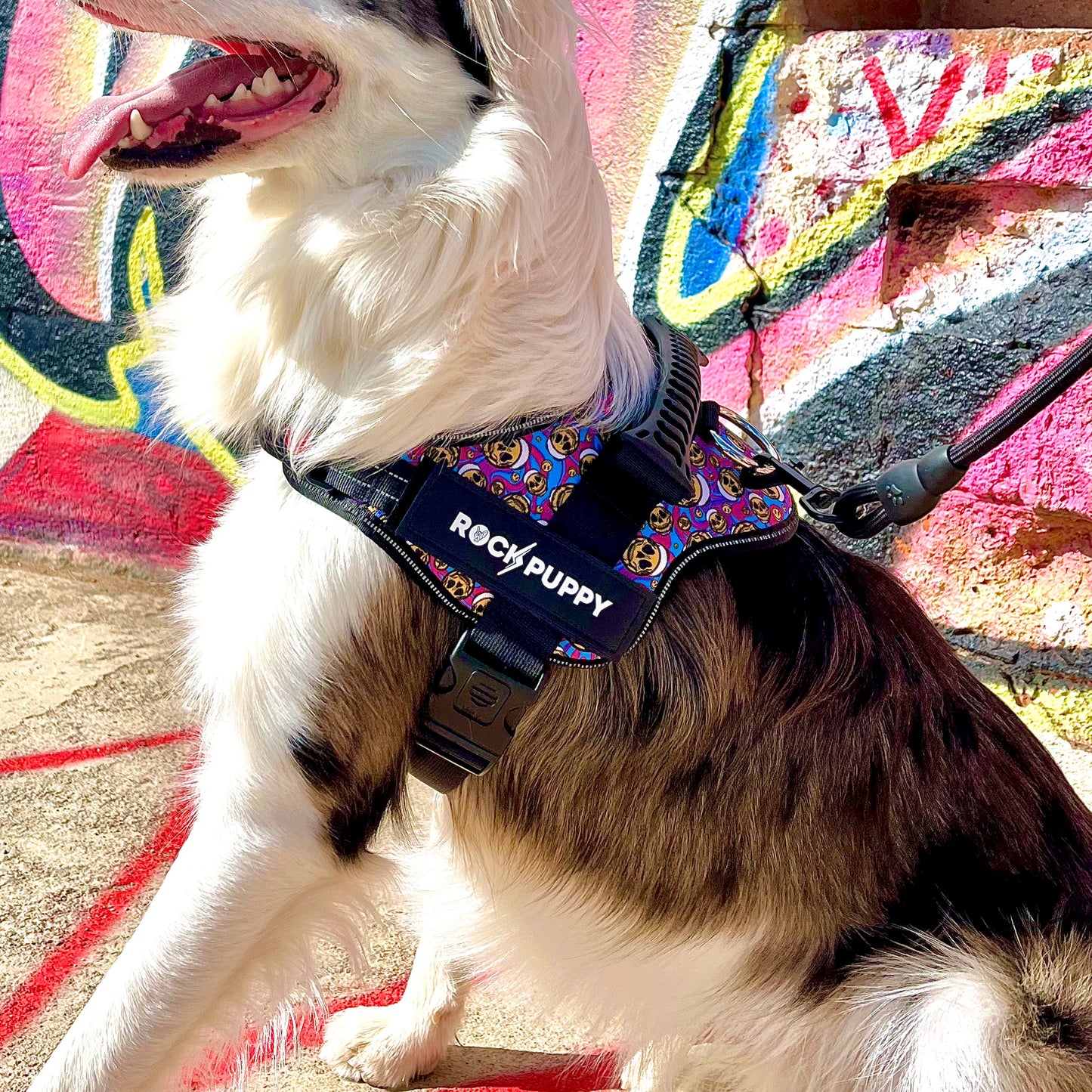 Arnés Para Perros Tactican HappySkull