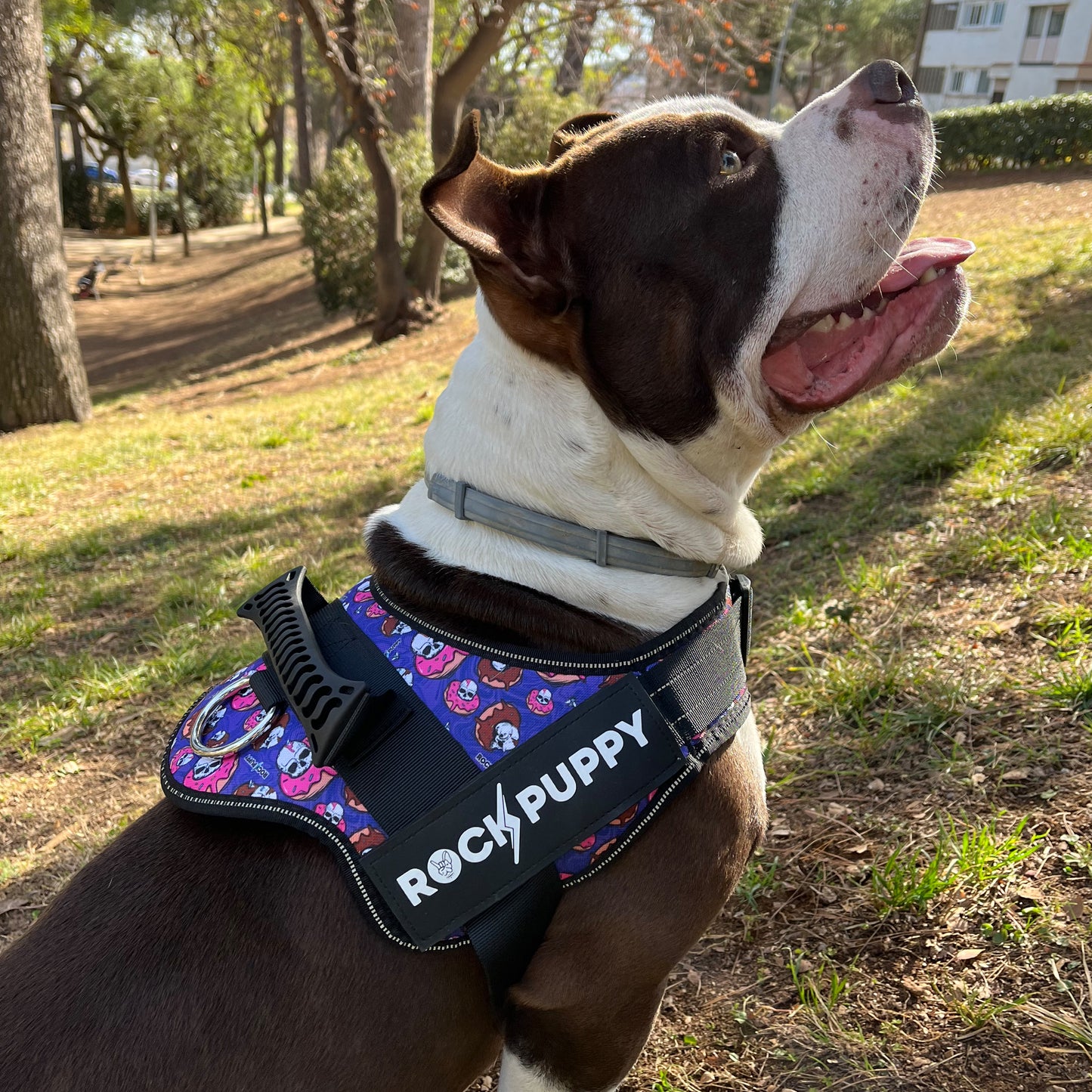 Arnés Para Perros TactiCan DonutSkull
