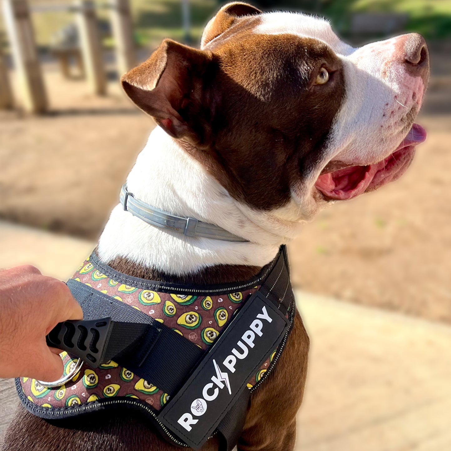 Arnés Para Perros TactiCan AvocadoSkull