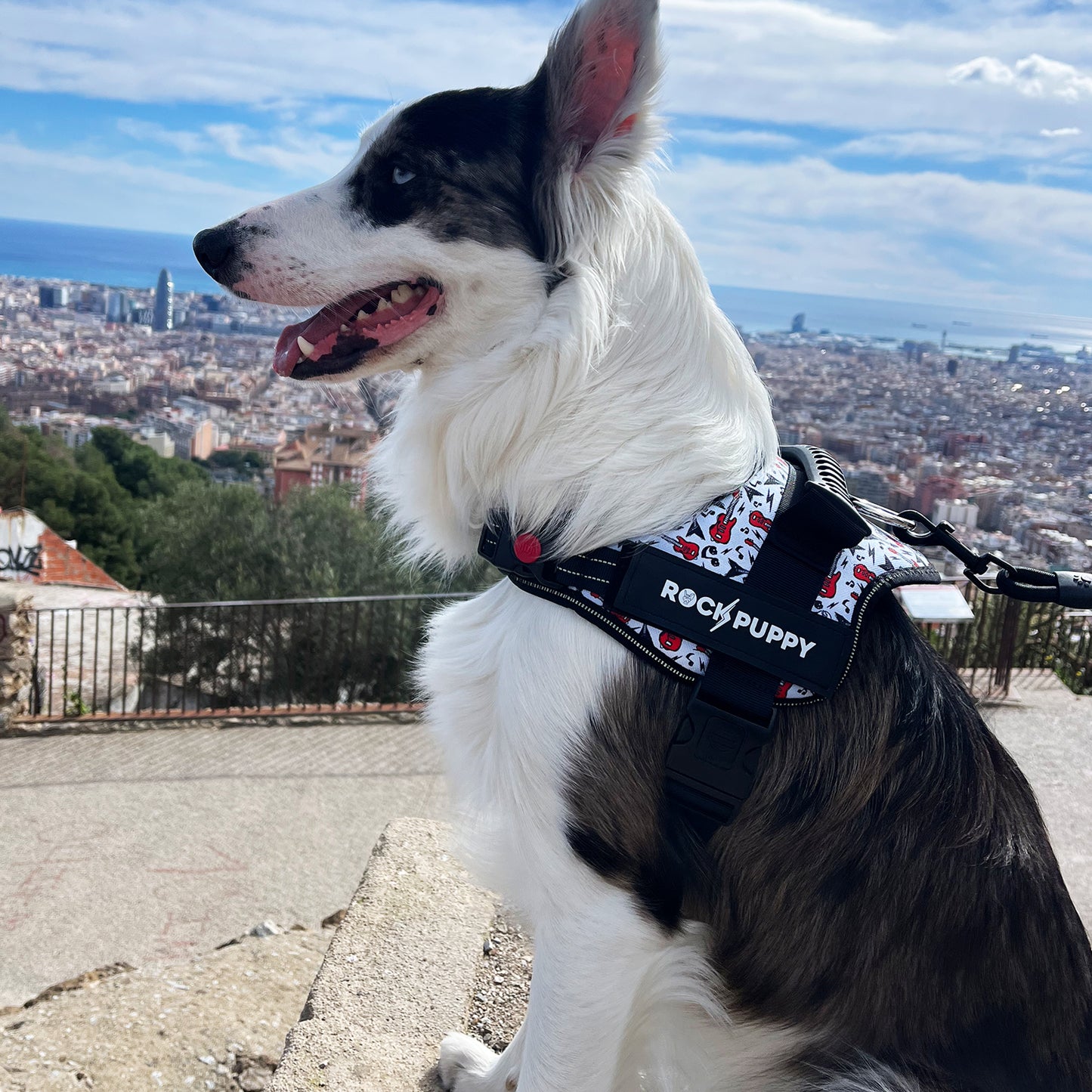 Arnés Para Perros TactiCan Guitars