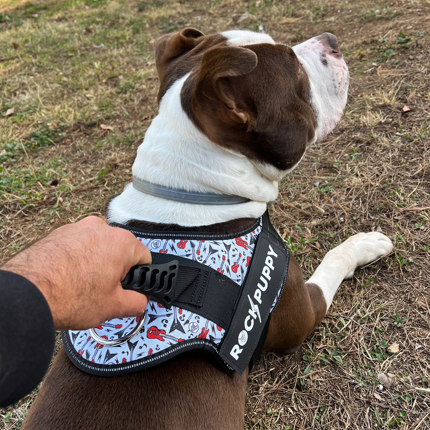 Arnés Para Perros TactiCan Guitars