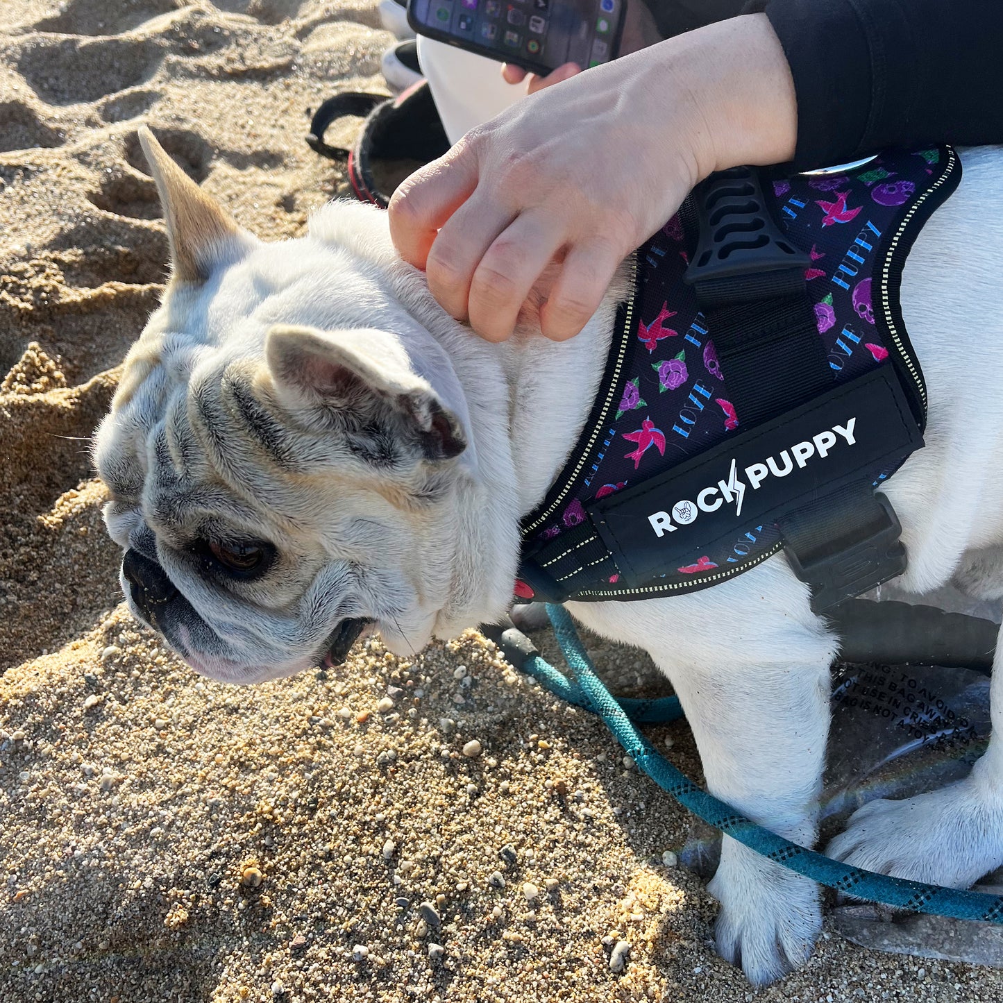 Pettorina per cani Tactican LovePuppy