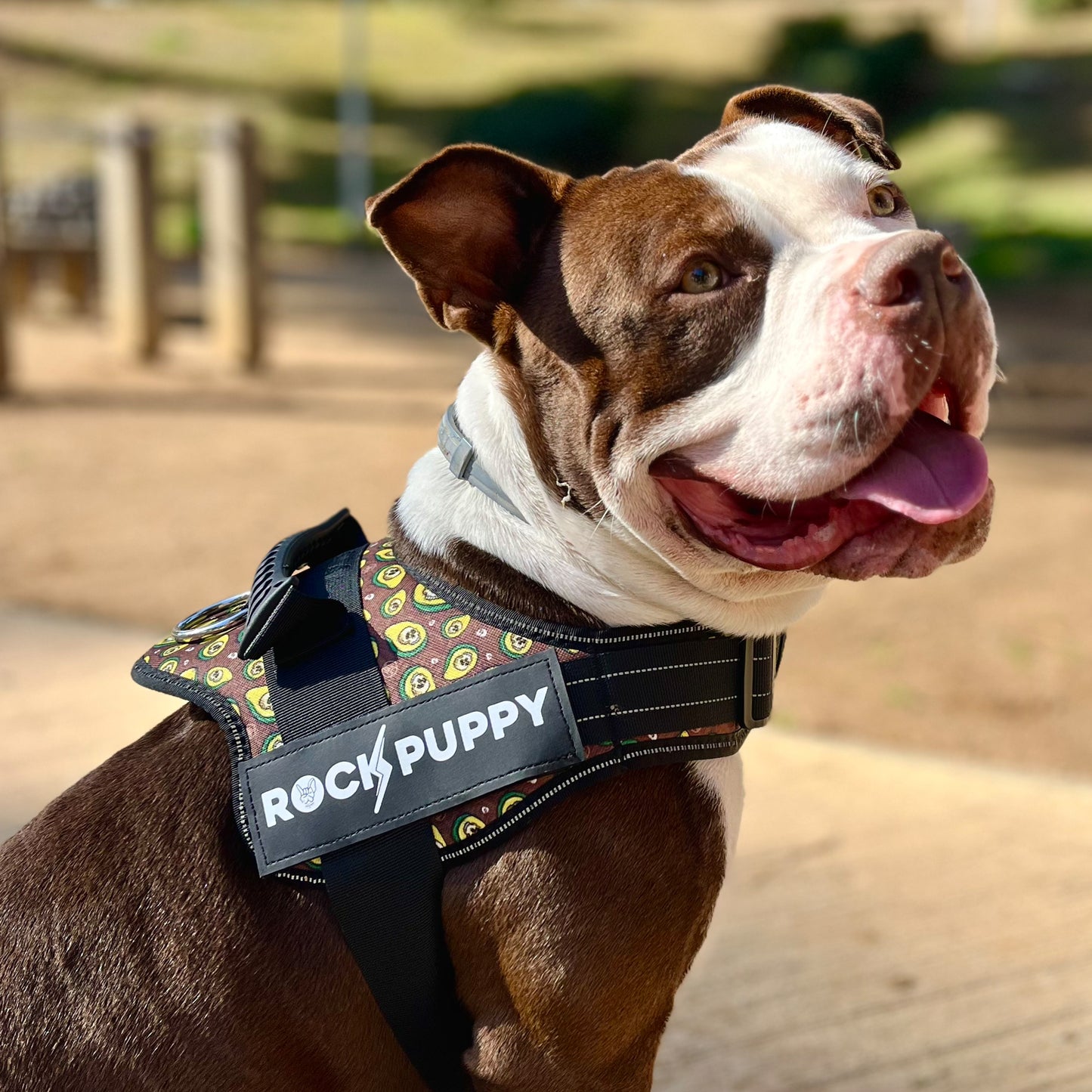 TactiCan AvocadoSkull Dog Harness