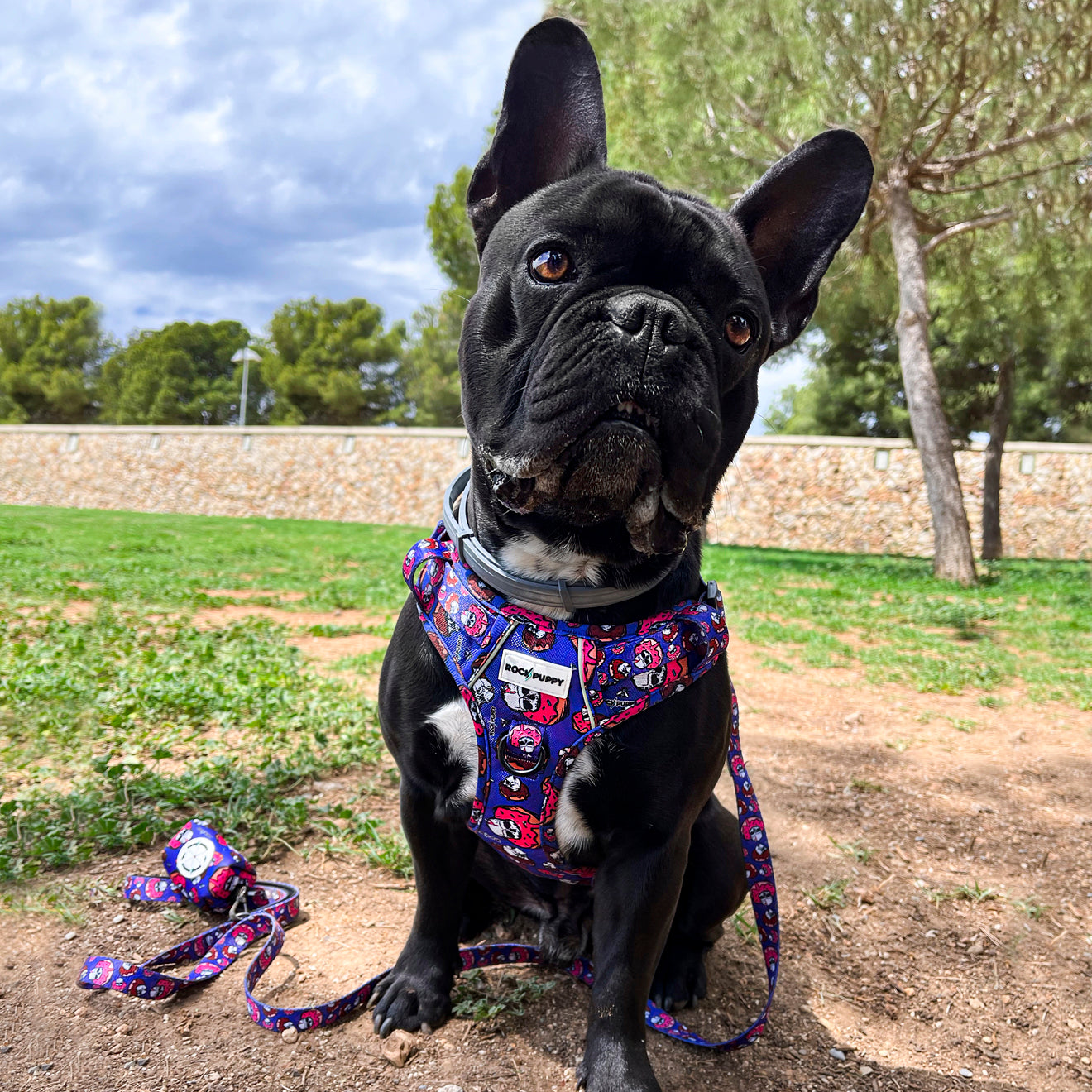 Arnés Para Perros IronDog DonutSkull