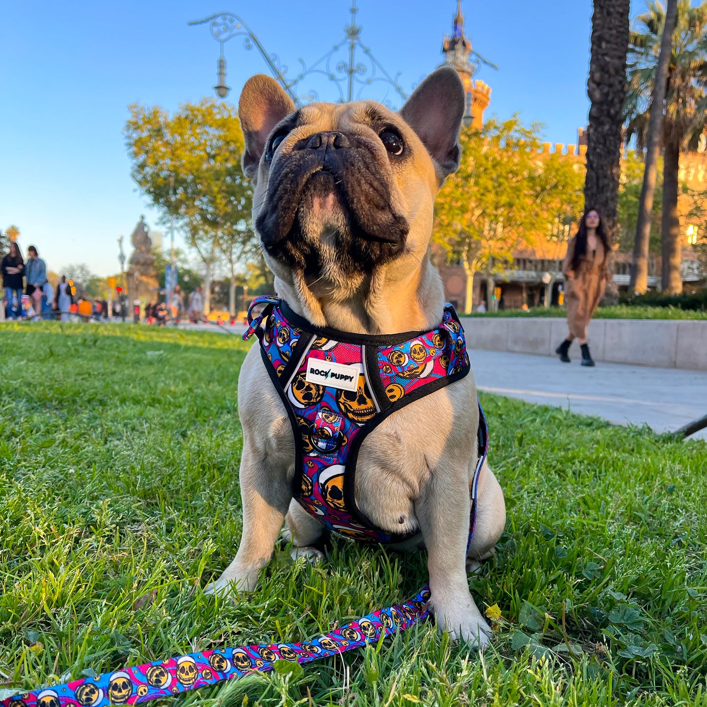 IronDog HappySkull Dog Harness