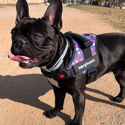 Arnés Para Perros TactiCan DonutSkull