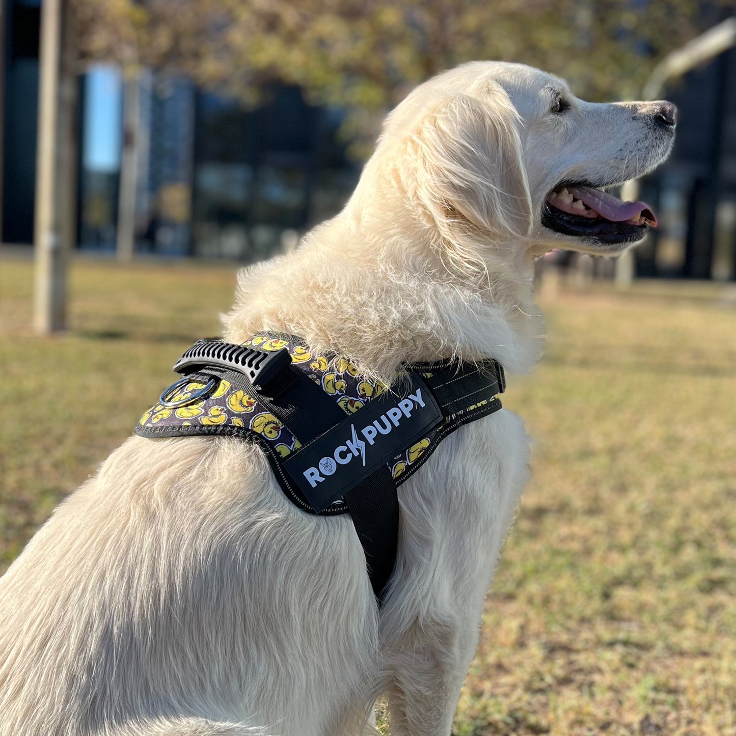 Arnés Para Perros TactiCan DuckPunk