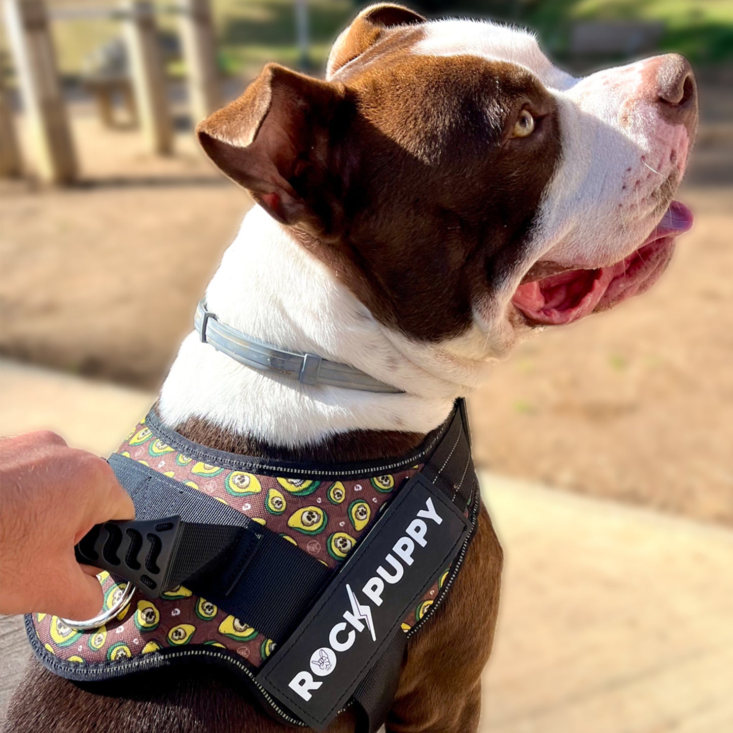 TactiCan AvocadoSkull Dog Harness