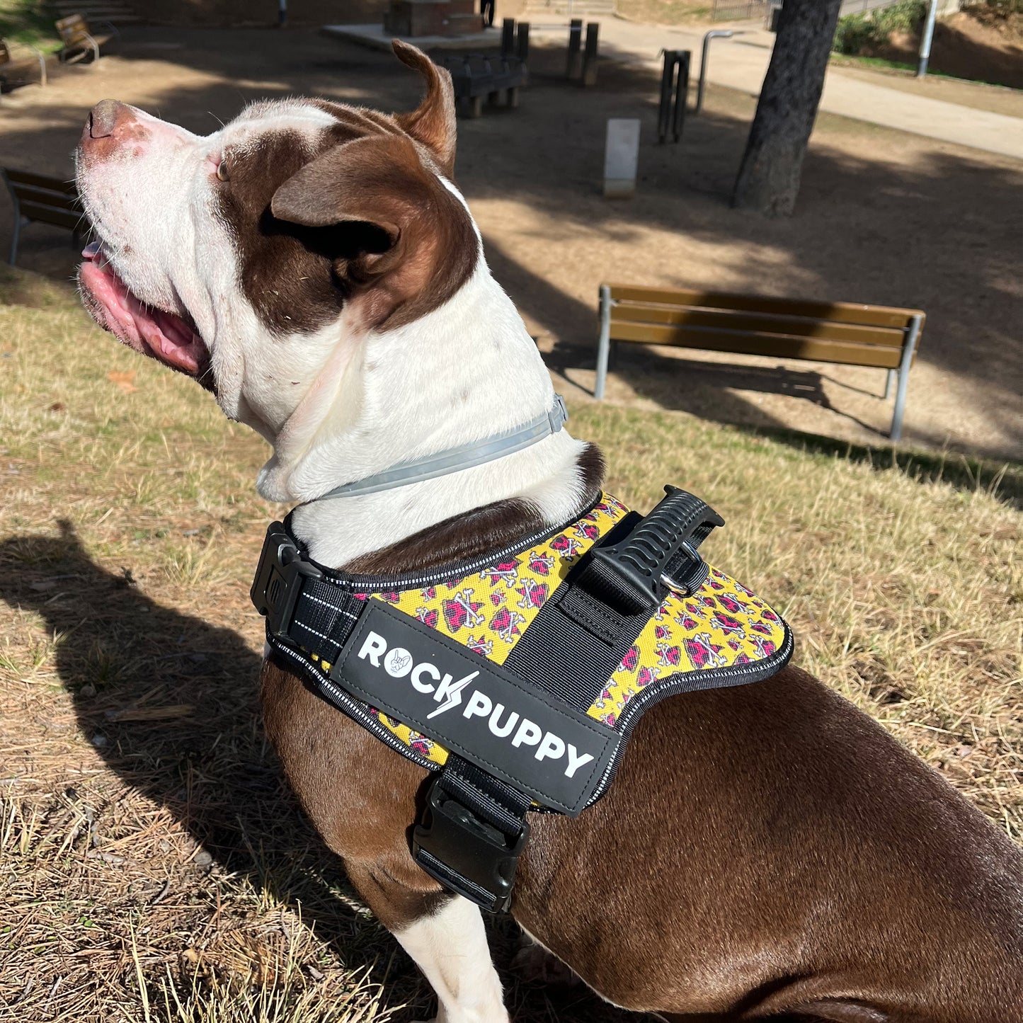 PizzaBones Tactican Dog Harness