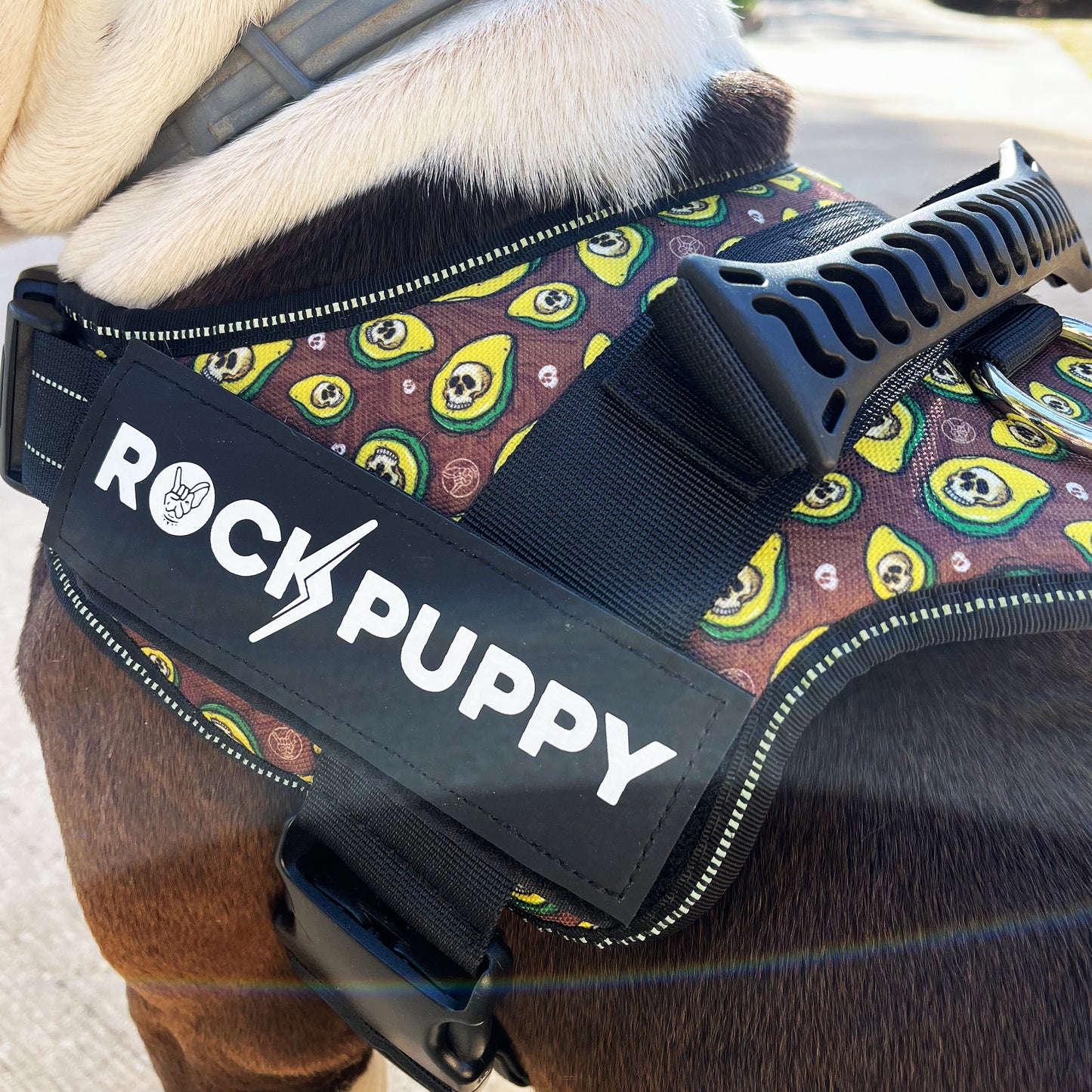 TactiCan AvocadoSkull Dog Harness